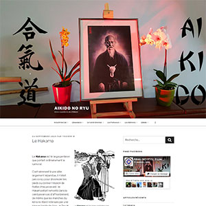 Aikido-no-ryu